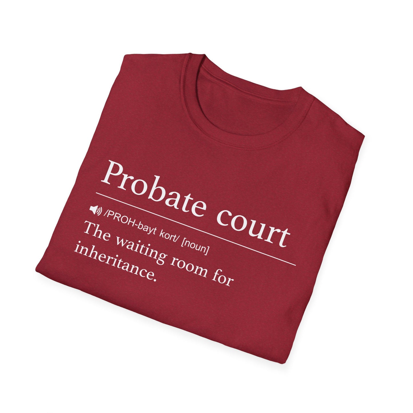 Probate Court Waiting Room T-Shirt