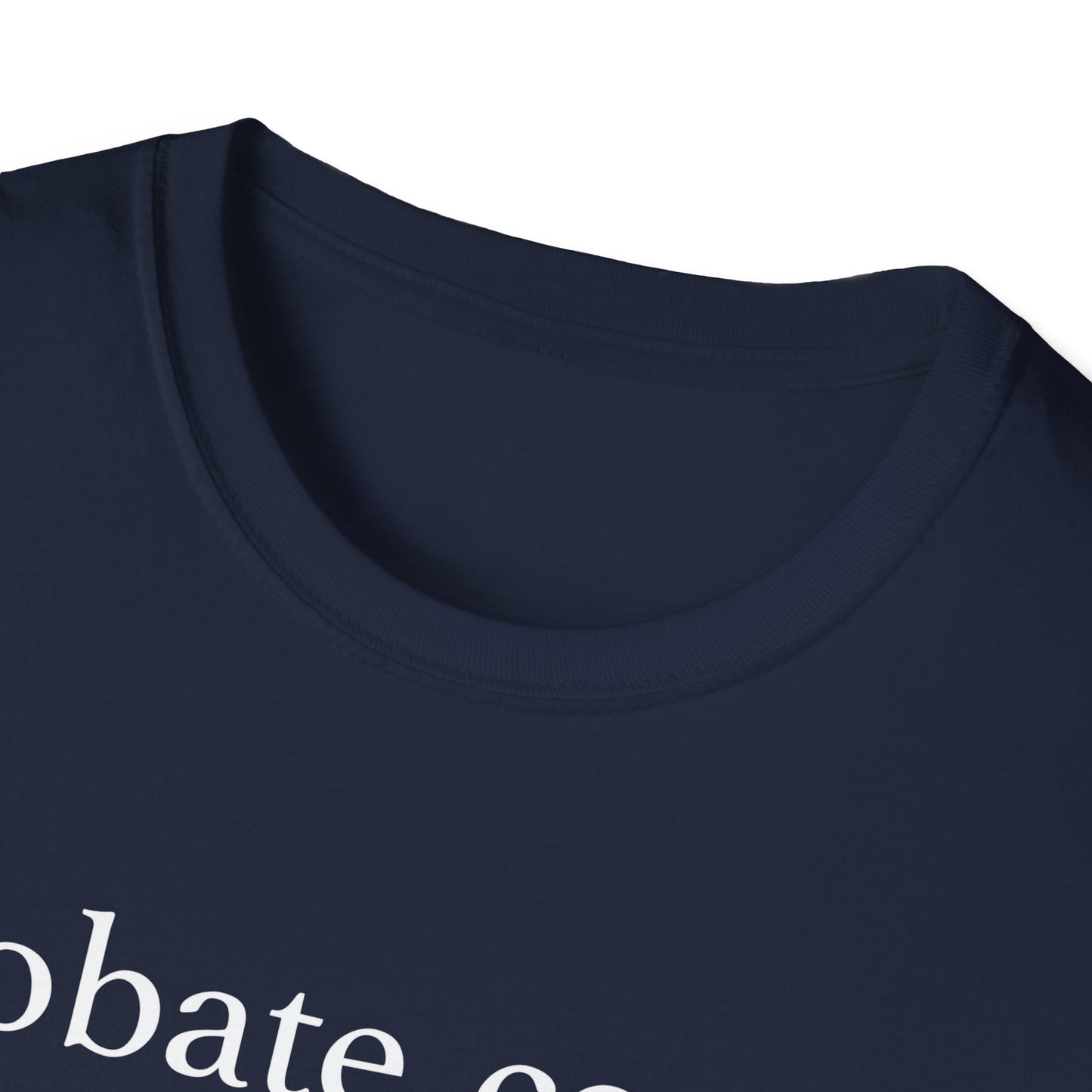 Probate Court Definition T-Shirt